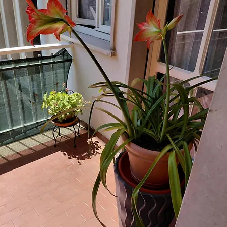 E Natura Sandra